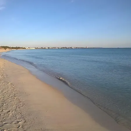 Alma Salento Carmiano (Apulia)